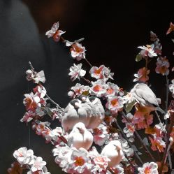 -酷嗒动物文化乐园(cutezoo西溪乐天城店)