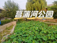 -菖蒲河公园