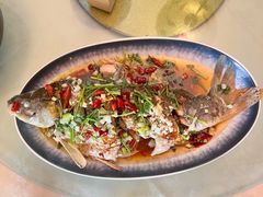 -崂山水果园农家宴(泉水鸡店)