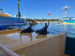 -秦皇岛乐岛海洋王国