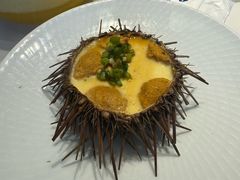 -好礼家海鲜•海肠捞饭大王(金沙滩念慈别墅店)