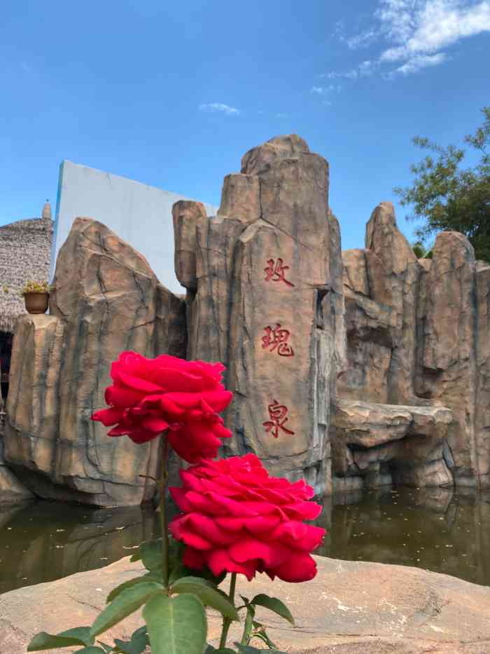 万花谷玫瑰庄园-"菜品口味还可以,主要是方便泡完温泉吃饭,.