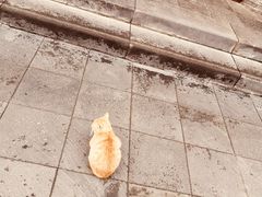 -万寿八仙宫