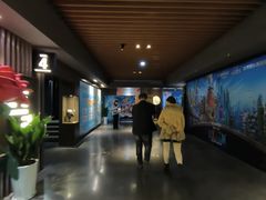 -太平洋影城(王府井店)
