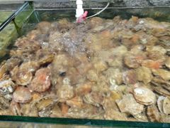 -海岸风情蒸汽海鲜自助餐厅(家宴金手勺店)