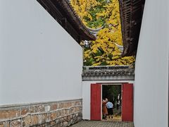 -西园戒幢律寺