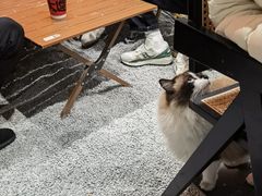 -seeu coffee(江滩店)