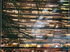 -Oyster Talks 四度蚝法餐厅