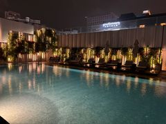 -新加坡乌节希尔顿酒店 (SG Clean)