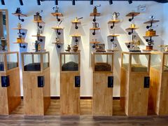 -MUSEO COFFEE咖啡博物馆
