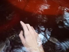-龙达温泉生态城