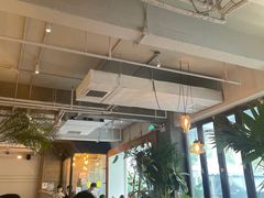 -the rug 飞毯 (朝阳公园店)