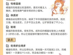 -翊宠yipet猫狗购宠庄园犬舍•猫舍