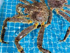 -三亚火车头万人海鲜广场