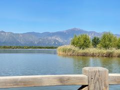 -野鸭湖国家湿地公园