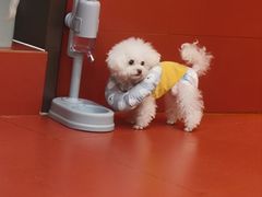 -和它·交个朋友·狗咖猫咖(爱琴海店)