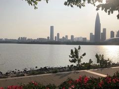 -深圳湾公园(南山区)