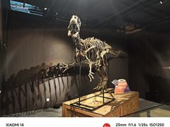 -正佳自然科学博物馆