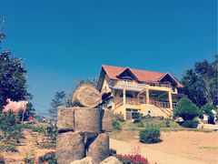 -黄色小屋