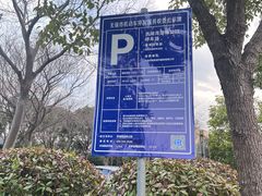 -贡湖湾湿地公园