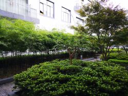 -变美丽半永久纹眉连锁·机器野生眉·洗眉