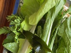 -金鼎雪山牦牛杂火锅(理县总店)