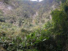 -长寿村