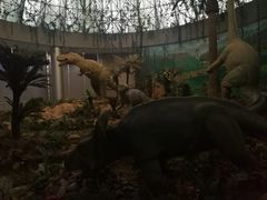 -中国西峡恐龙遗迹园