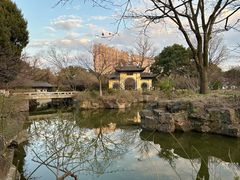 -红梅公园