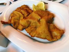 维也纳炸猪排-Plachuttas Gasthaus zur Oper