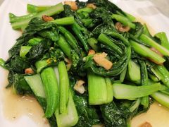 -锦粤宫·精致粤菜(阳西店)