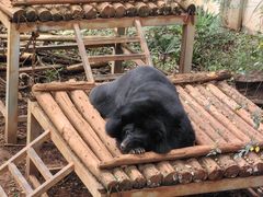 -昆明动物园