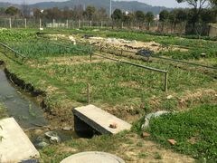 -呼吸森林·生态农庄农家乐私房菜