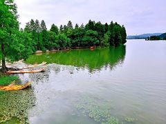 -东湖落雁景区