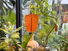 -自由生长植物工作室(深港花卉中心店)
