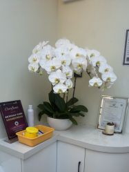 -海涛医疗美容·面部抗衰·注射美鼻