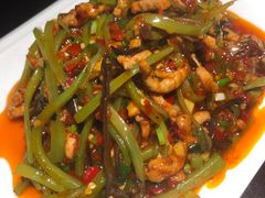 -陈麻婆豆腐总店