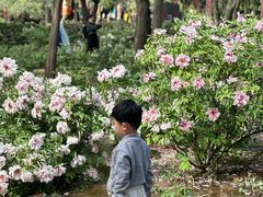 -洛阳市隋唐城遗址植物园