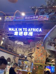 -卡通尼·Safari非洲探索乐园·生日会(金桥国际商业广场店)