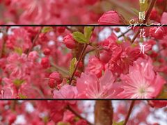 -朝阳公园