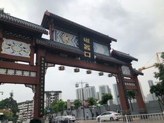 -颜氏双江清水鱼一养身火锅(磁器口店)