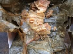 -老马粉蒸肉(西塘古镇店)