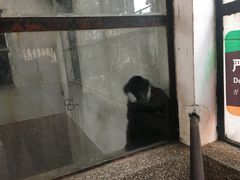 -昆明动物园
