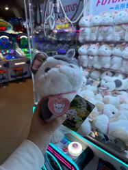 -卡通尼乐园(上海安亭店)