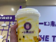 -一只酸奶牛(摩根吾悦广场店)