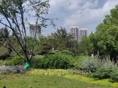 -堤角公园