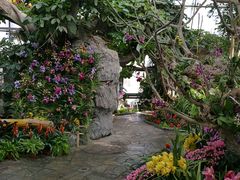 -北京植物园-展览温室