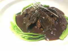 肝油辽参-松云泽