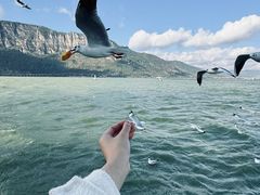 -海埂大坝