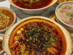 传统地道毛血旺-眉州东坡(上海中心店)
